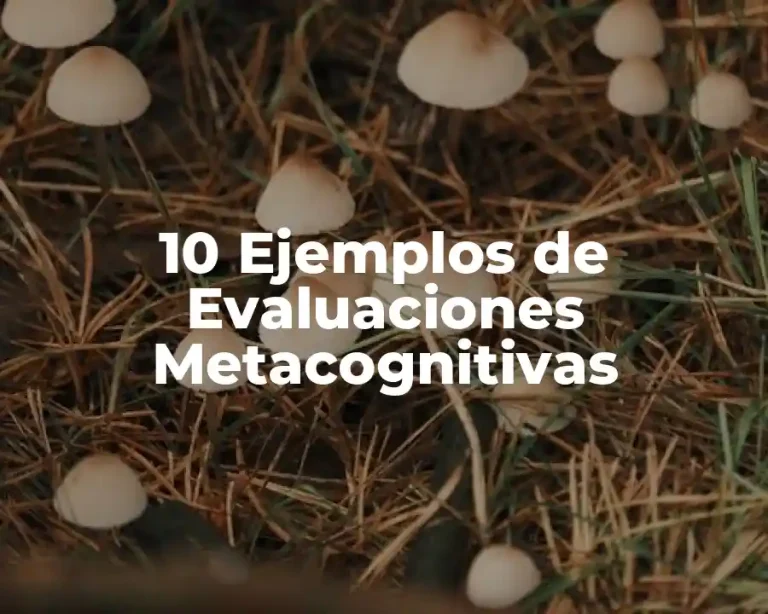 10 Ejemplos de Evaluaciones Metacognitivas