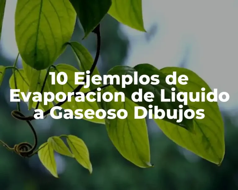 10 Ejemplos de Evaporacion de Liquido a Gaseoso Dibujos