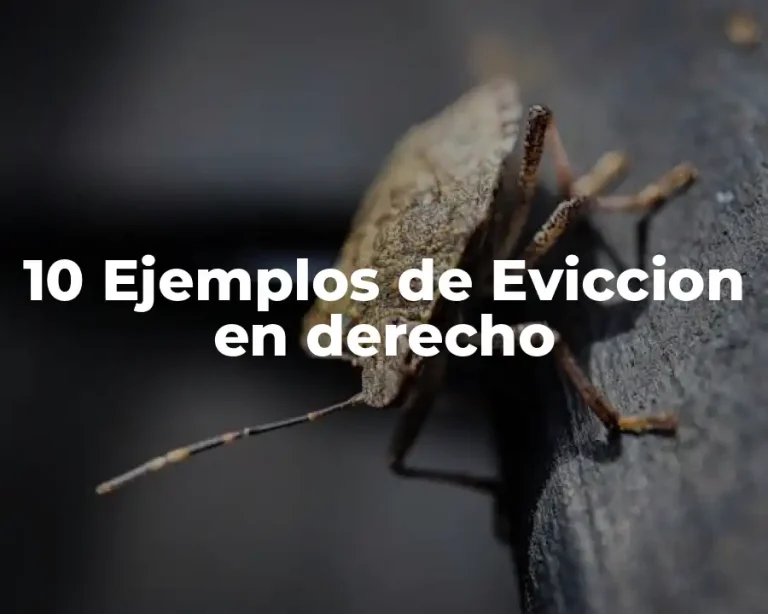 10 Ejemplos de Eviccion en derecho