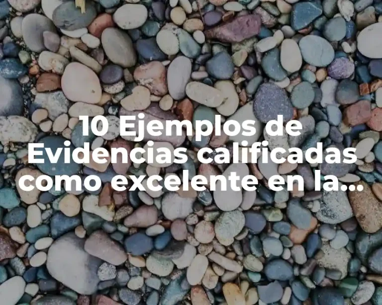 10 Ejemplos de Evidencias calificadas como excelente en la evaluación docente