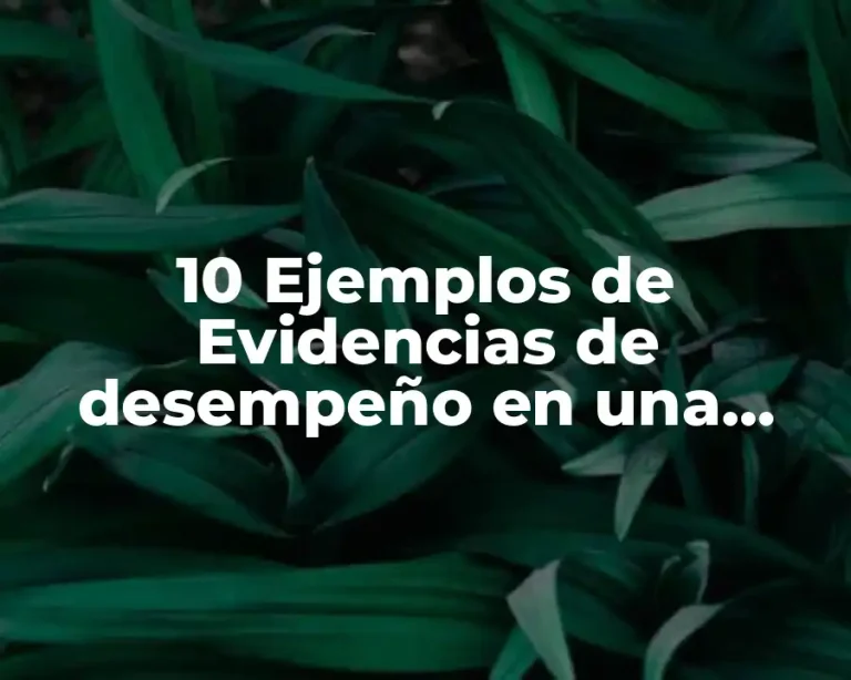 10 Ejemplos de Evidencias de desempeño en una empresa
