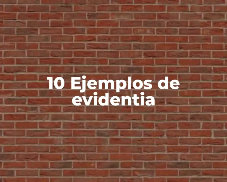 10 Ejemplos de evidentia