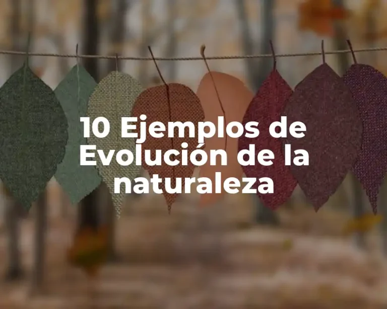 10 Ejemplos de Evolución de la naturaleza