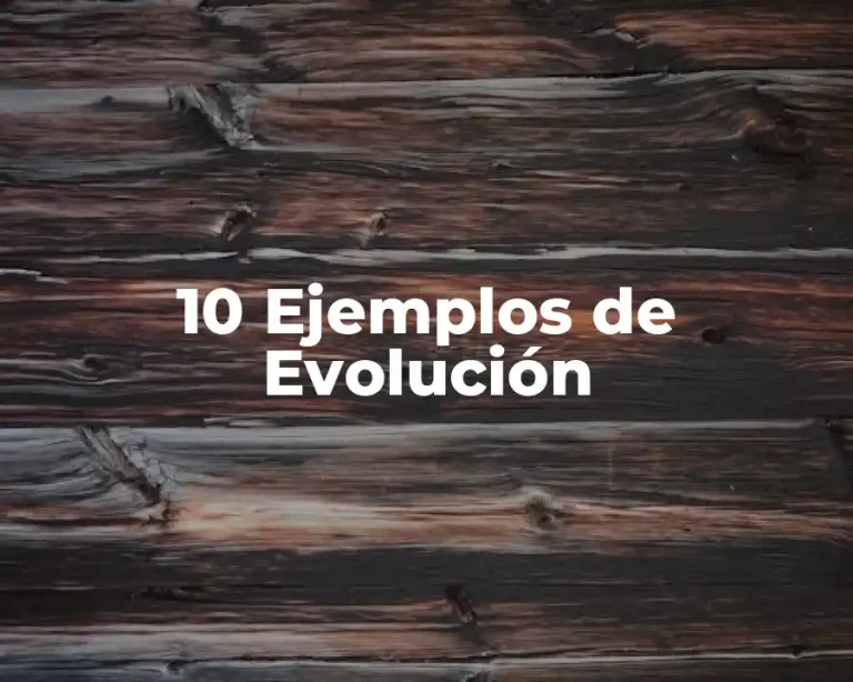 10 Ejemplos de Evolución