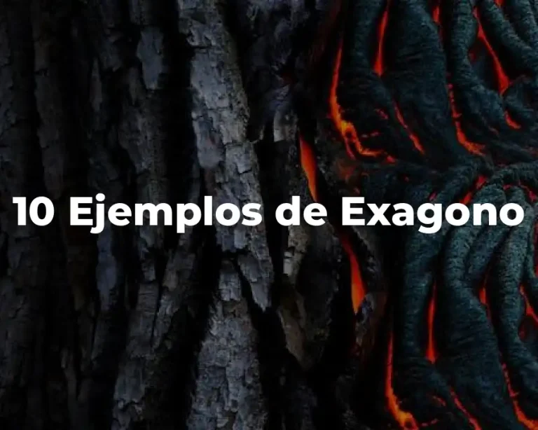 10 Ejemplos de Exagono