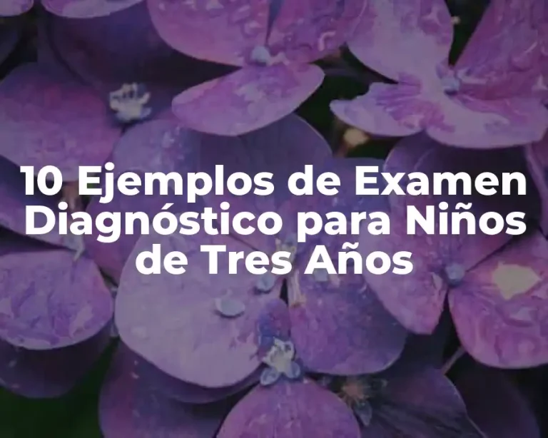 10 Ejemplos de Examen Diagnóstico para Niños de Tres Años