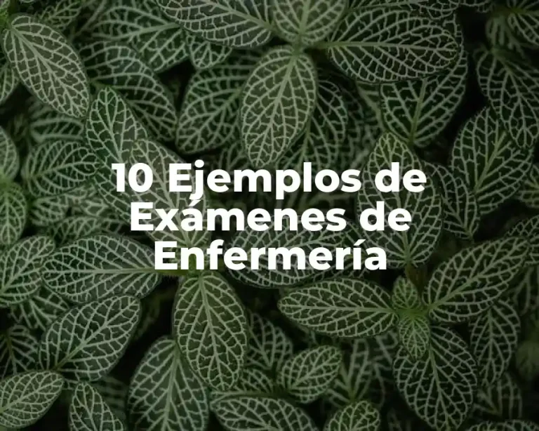 10 Ejemplos de Exámenes de Enfermería