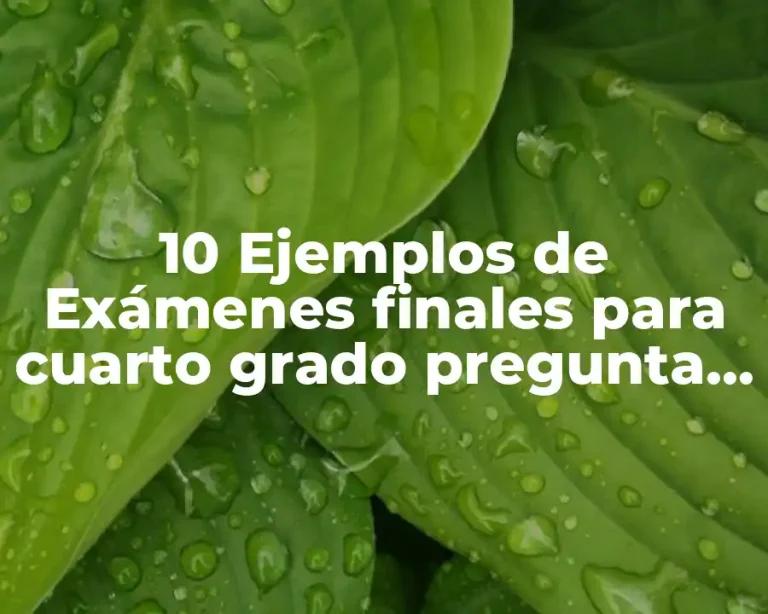 10 Ejemplos de Exámenes finales para cuarto grado pregunta abierta