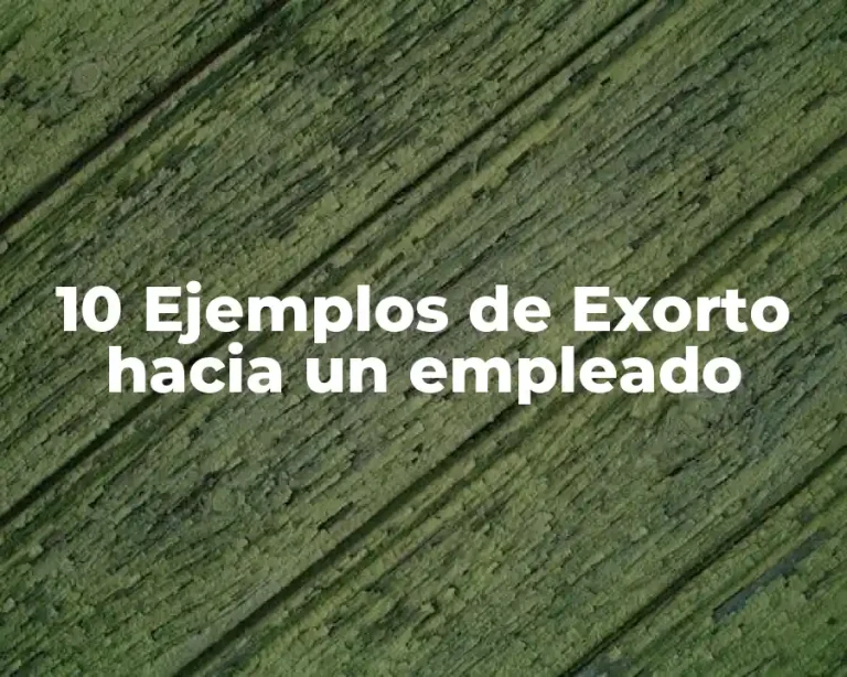 10 Ejemplos de Exorto hacia un empleado