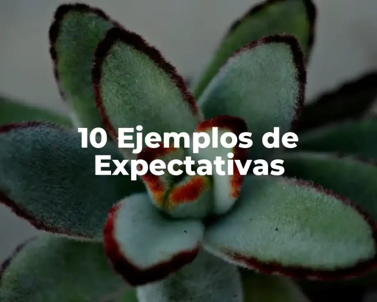 10 Ejemplos de Expectativas