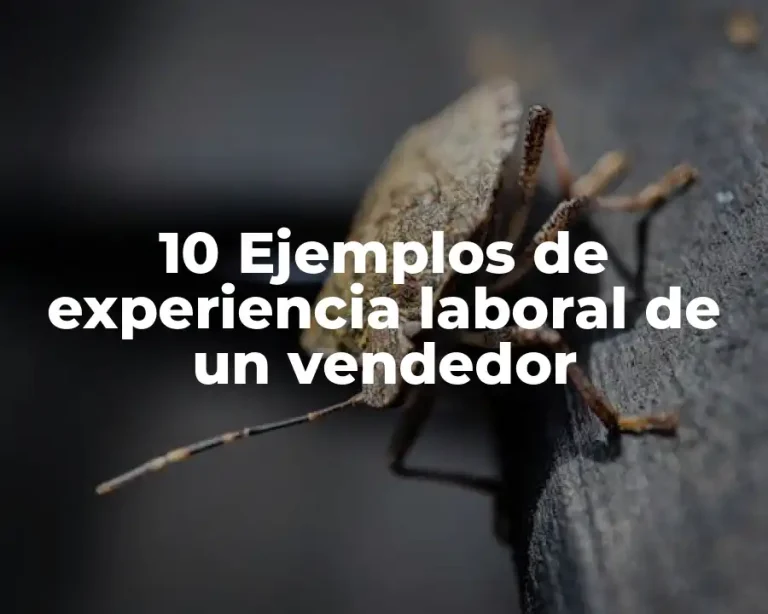 10 Ejemplos de experiencia laboral de un vendedor