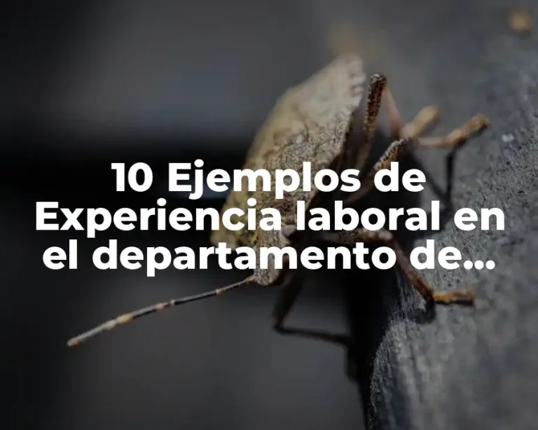 10 Ejemplos de Experiencia laboral en el departamento de nominas