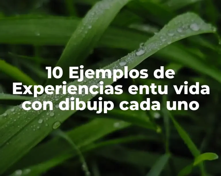 10 Ejemplos de Experiencias entu vida con dibujp cada uno
