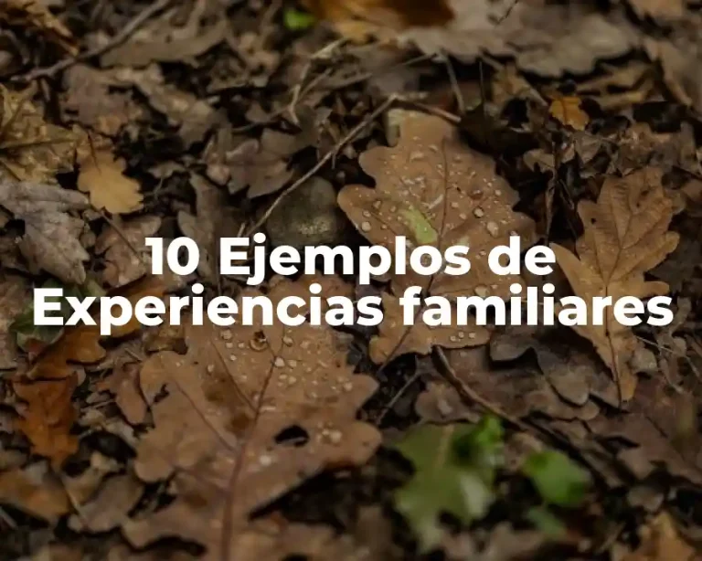 10 Ejemplos de Experiencias familiares