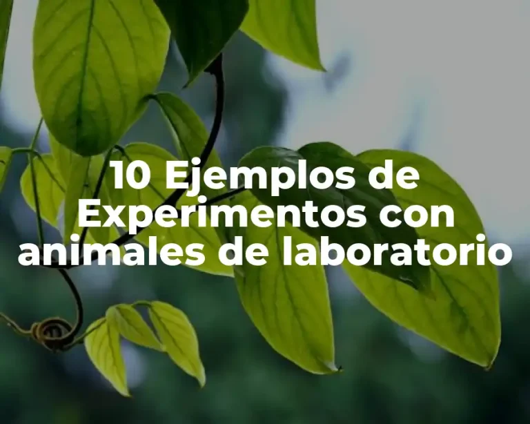 10 Ejemplos de Experimentos con animales de laboratorio