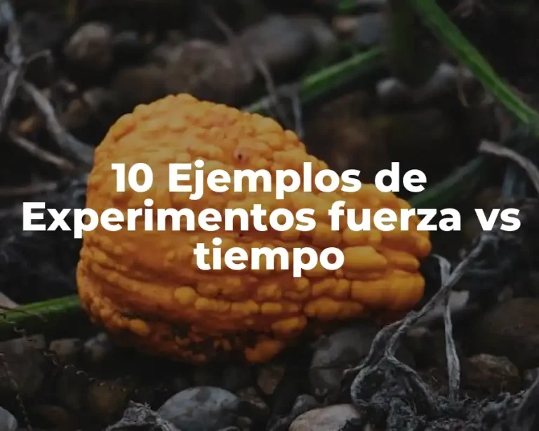 10 Ejemplos de Experimentos fuerza vs tiempo