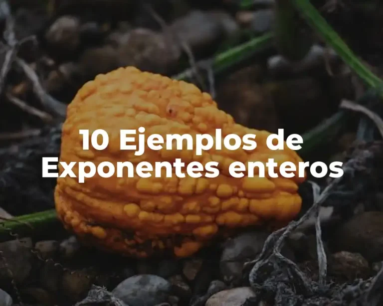10 Ejemplos de Exponentes enteros