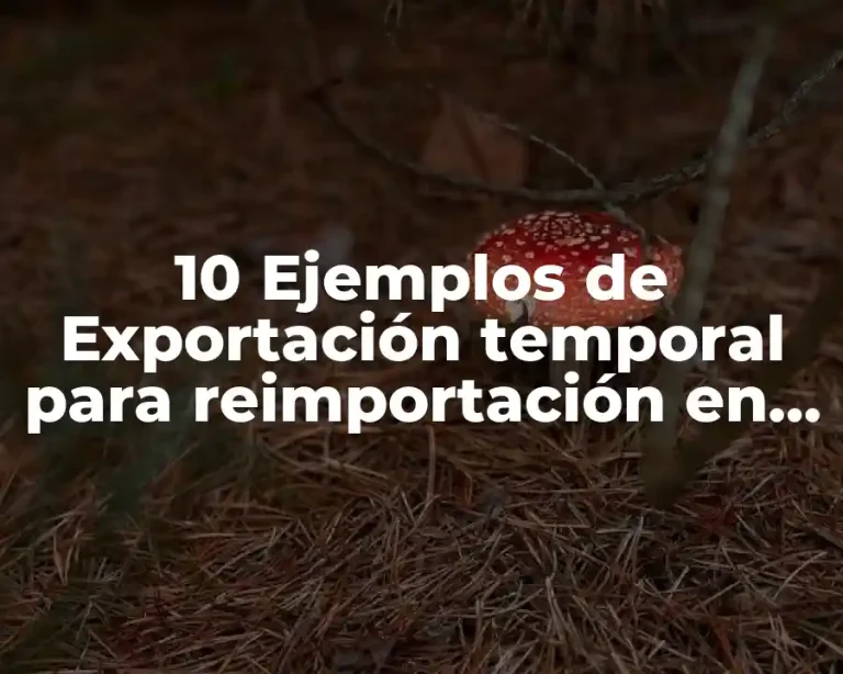 10 Ejemplos de Exportación temporal para reimportación en el mismo estado