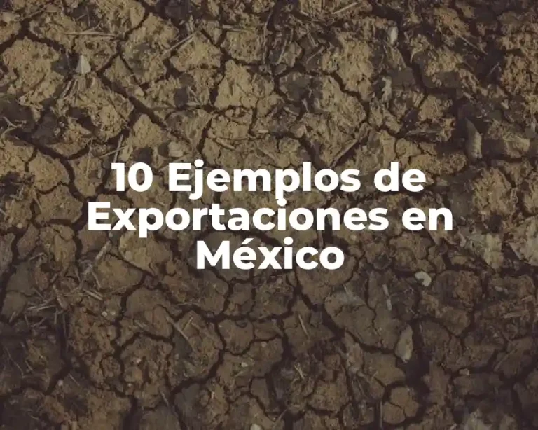 10 Ejemplos de Exportaciones en México