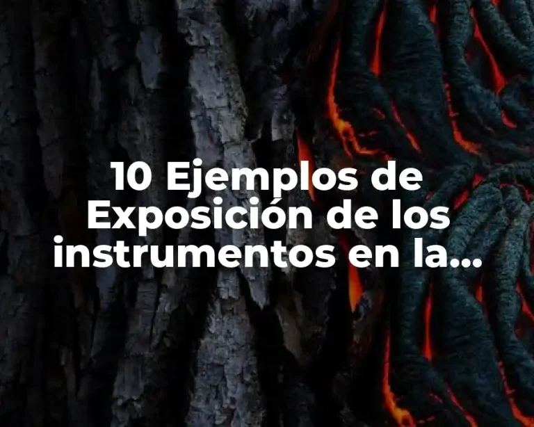 10 Ejemplos de Exposición de los instrumentos en la comunidad