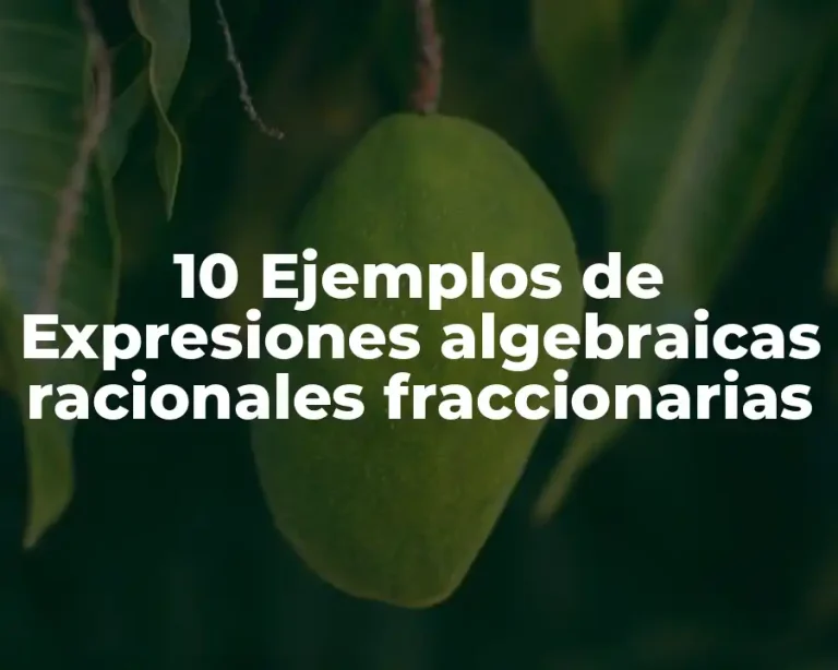 10 Ejemplos de Expresiones algebraicas racionales fraccionarias