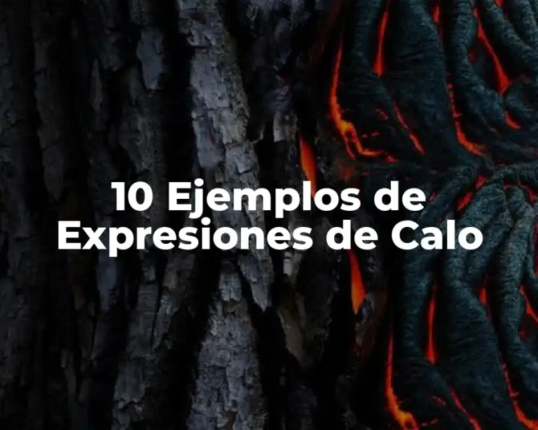 10 Ejemplos de Expresiones de Calo
