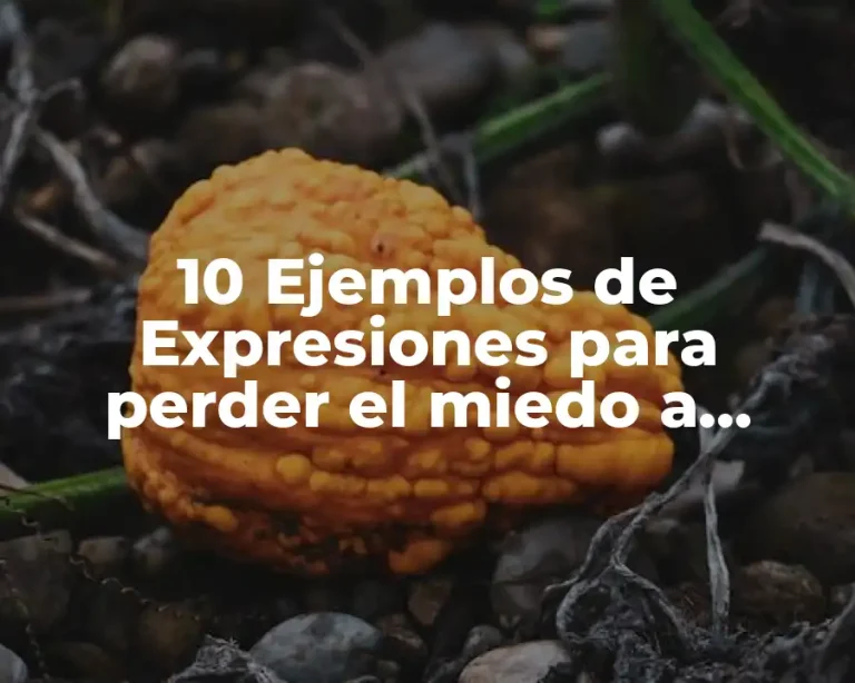 10 Ejemplos de Expresiones para perder el miedo a intentarlo