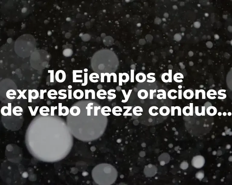 10 Ejemplos de expresiones y oraciones de verbo freeze conduo lingo
