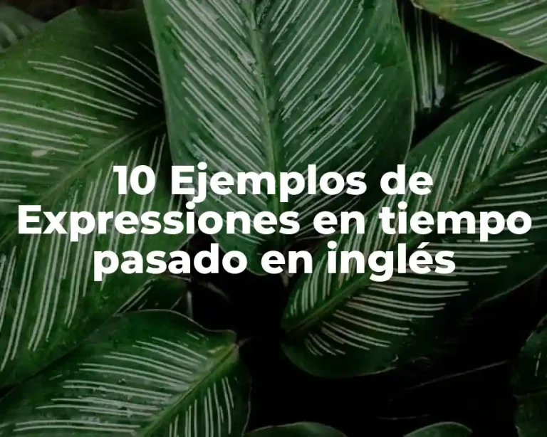 10 Ejemplos de Expressiones en tiempo pasado en inglés