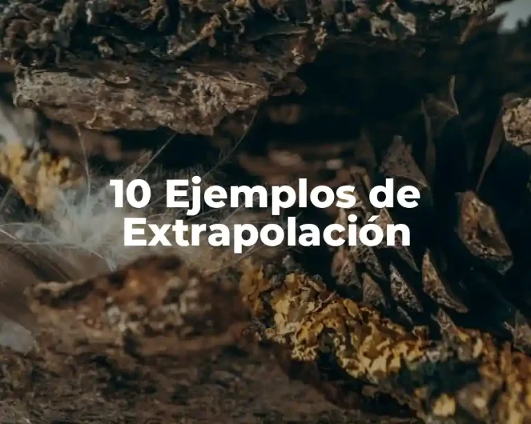 10 Ejemplos de Extrapolación
