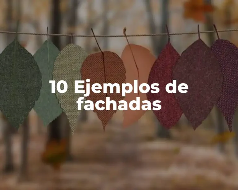 10 Ejemplos de fachadas
