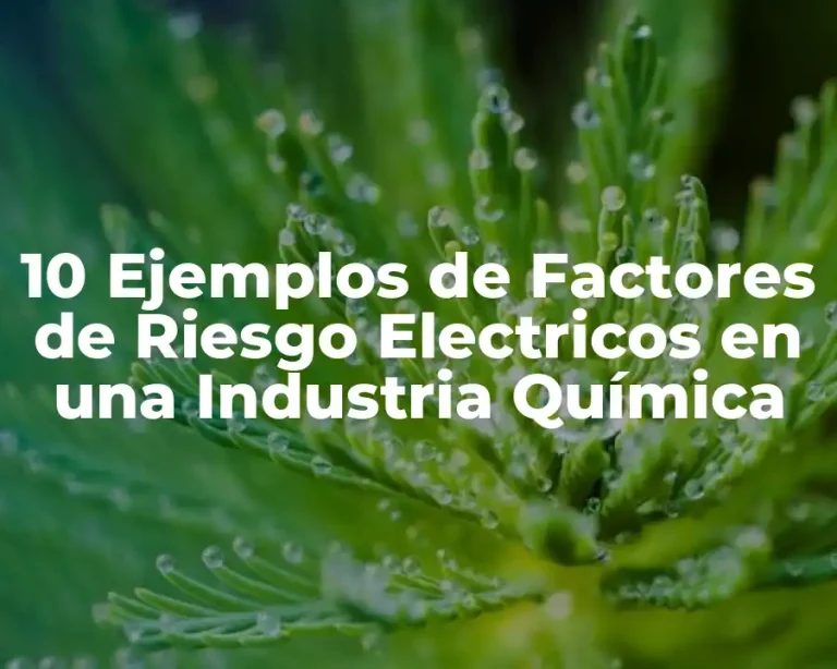 10 Ejemplos de Factores de Riesgo Electricos en una Industria Química