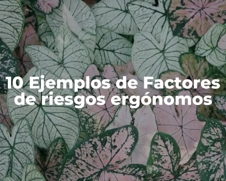10 Ejemplos de Factores de riesgos ergónomos