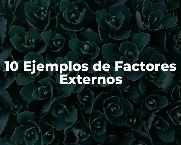 10 Ejemplos de Factores Externos