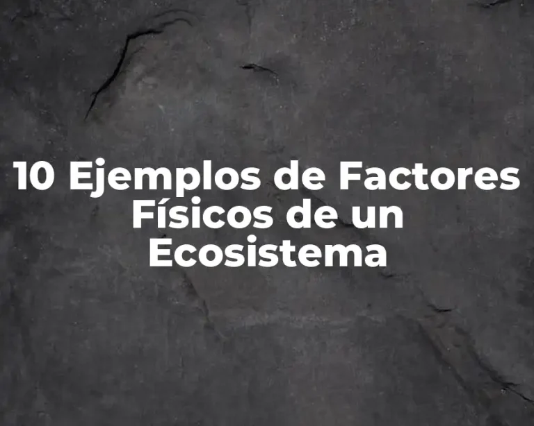 10 Ejemplos de Factores Físicos de un Ecosistema