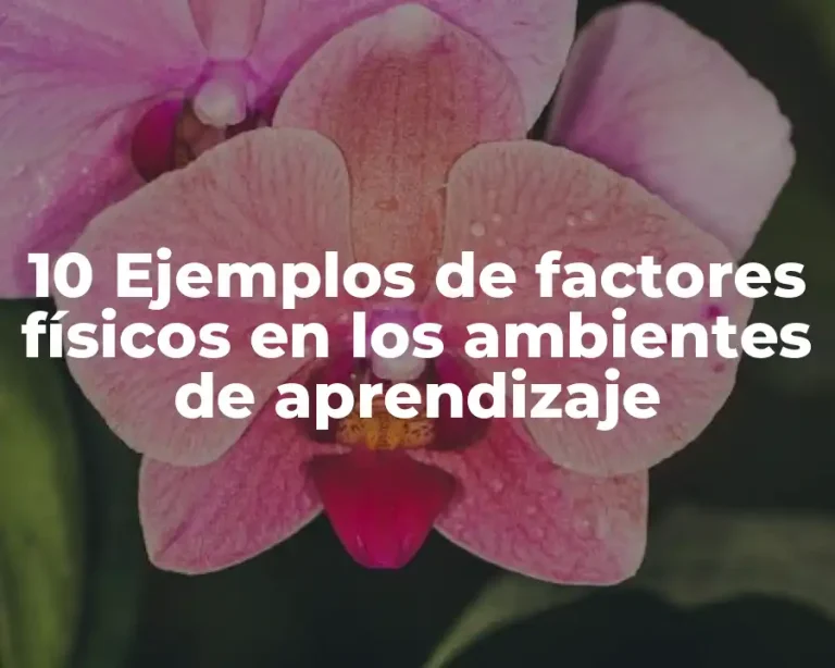 10 Ejemplos de factores físicos en los ambientes de aprendizaje