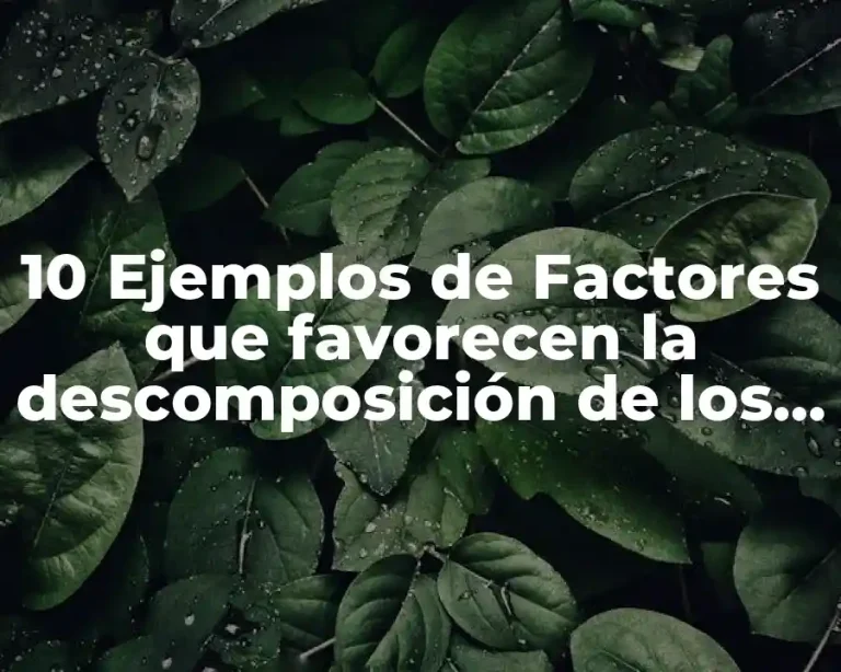 10 Ejemplos de Factores que favorecen la descomposición de los alimentos