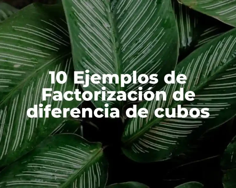 10 Ejemplos de Factorización de diferencia de cubos