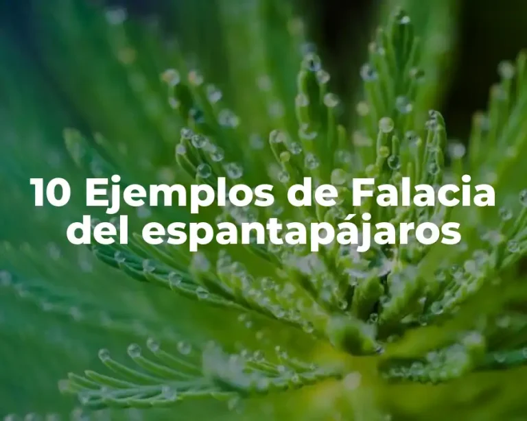 10 Ejemplos de Falacia del espantapájaros