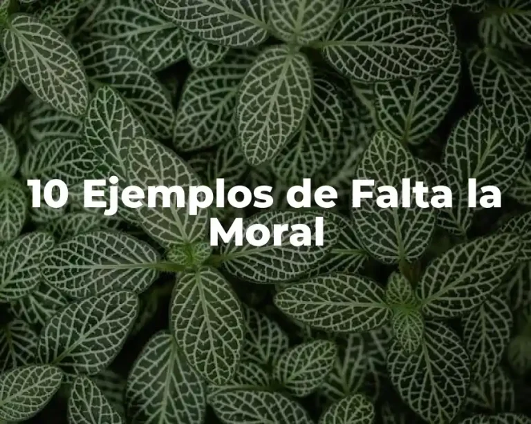 10 Ejemplos de Falta la Moral