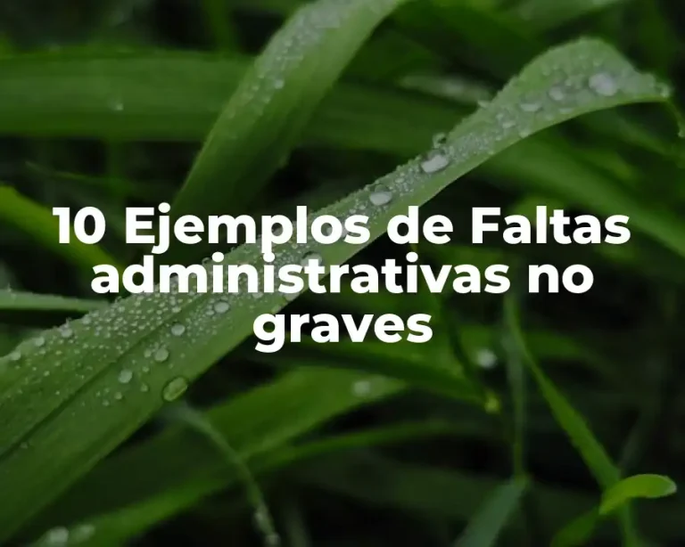 10 Ejemplos de Faltas administrativas no graves