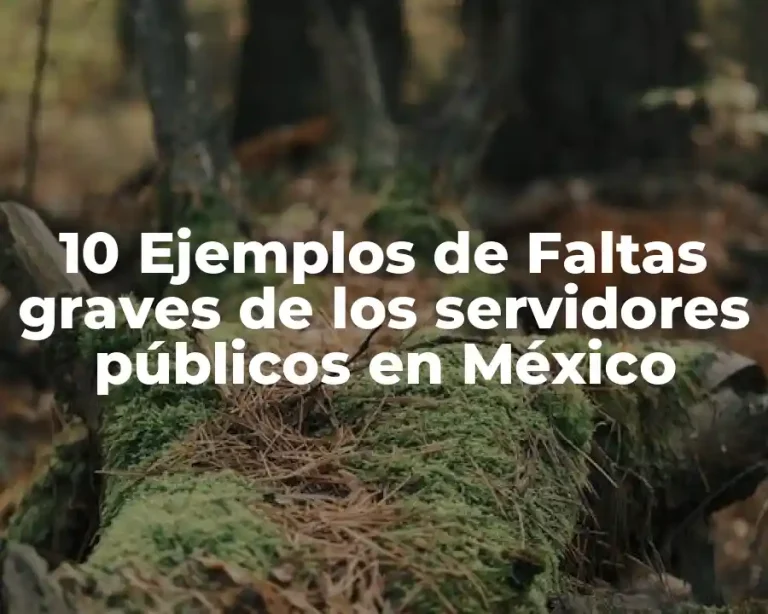 10 Ejemplos de Faltas graves de los servidores públicos en México