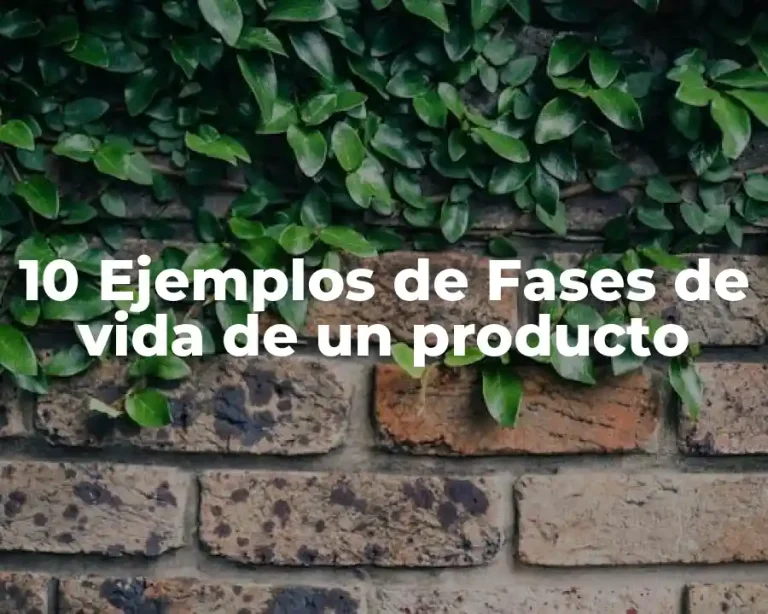 10 Ejemplos de Fases de vida de un producto