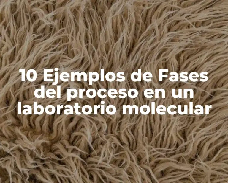 10 Ejemplos de Fases del proceso en un laboratorio molecular