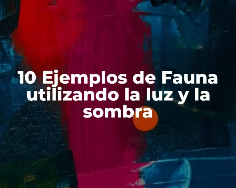 10 Ejemplos de Fauna utilizando la luz y la sombra