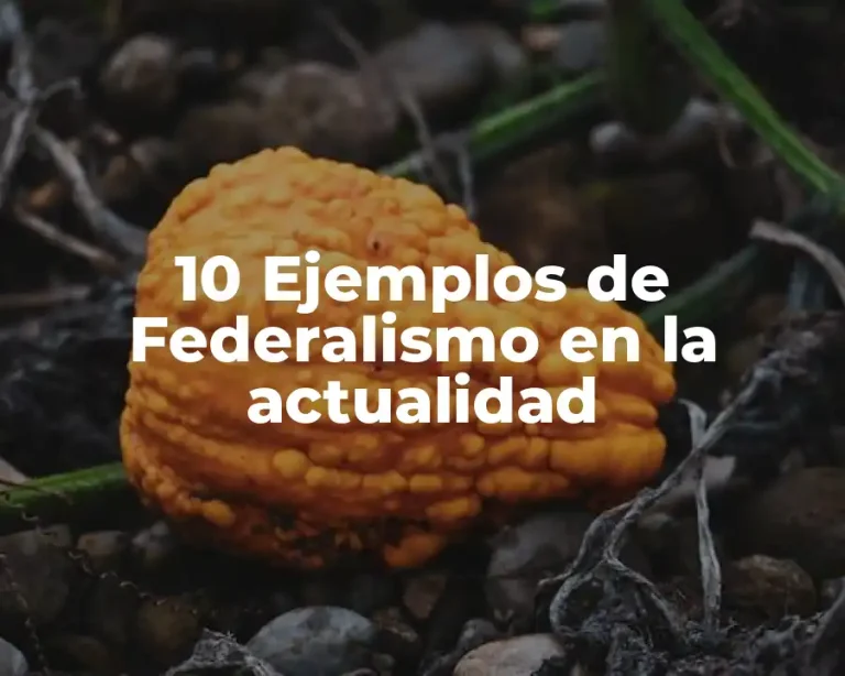 10 Ejemplos de Federalismo en la actualidad