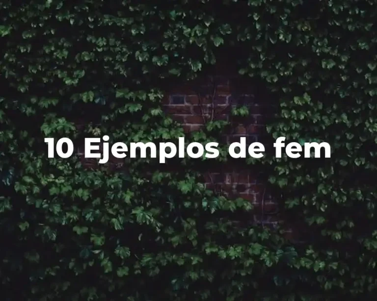 10 Ejemplos de fem