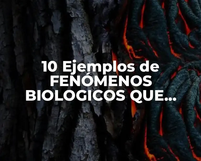 10 Ejemplos de FENÓMENOS BIOLOGICOS QUE PUEDEDEN EXPLICAR CON THERMODYNÁMICA