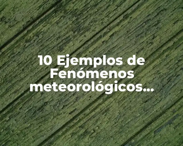 10 Ejemplos de Fenómenos meteorológicos causados por el cambio climático