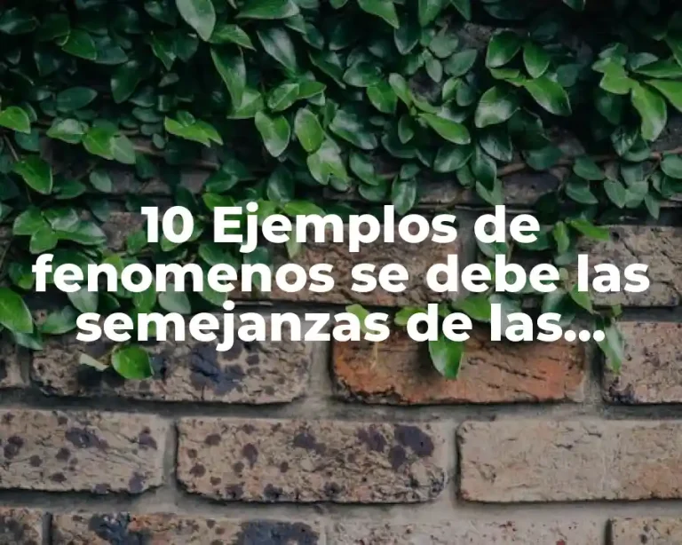 10 Ejemplos de fenomenos se debe las semejanzas de las especies